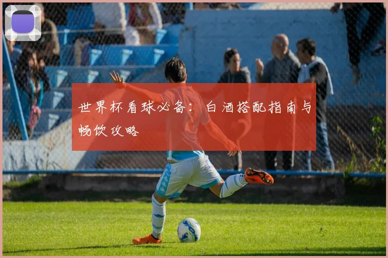 世界杯看球必备：白酒搭配指南与畅饮攻略
